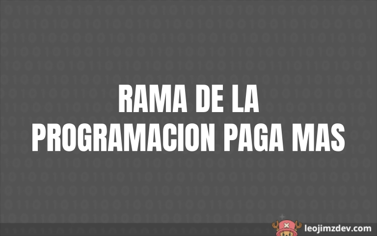Las ramas de la programación mejor pagadas en 2024