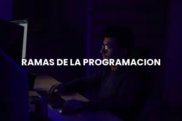 ramas de la programacion